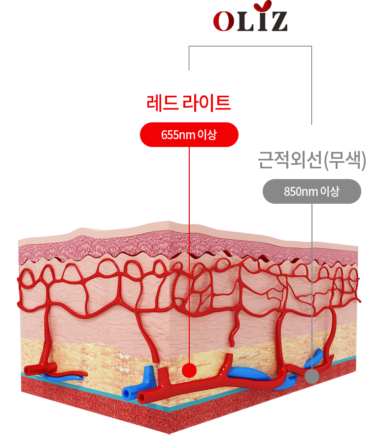 올리즈는 레드 라이트(655nm 이상), 근적외선(850nm 이상)까지 빛 에너지가 도달합니다.